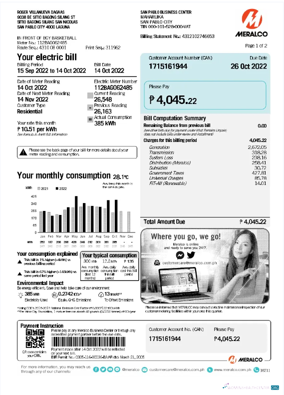 download download PHILIPPINES MERALCO utility bill Word and PDF template PDF template PDF template